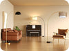 Gold Arched Boho Floor Lamp with Rattan Shade