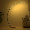 Black Arc Floor Lamp Modern Curved LED Light