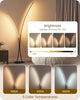 Black Arc Floor Lamp with Remote, Dual Dimmable LED Lights