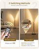 Black Arc Floor Lamp with Remote, Dual Dimmable LED Lights