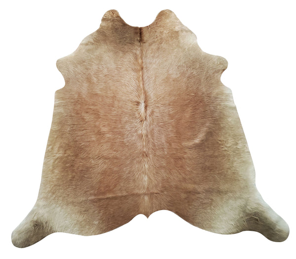 A small brown cowhide rug that will look lovely and unique in any living room gives a touch of elegance to the decor and the colors are so perfect. It’s such an amazing cowhide rug! no funny smell, authentic cowhide rug. Looks absolutely amazing