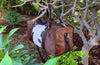 Step into luxury with a sleek cow fur duffle bag, designed to elevate your travel experiences with ease.