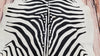 zebra Rug