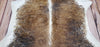 Large Tricolor Brindle Cowhide Rug 7.5ft x 7ft
