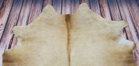 Real Cowhide Rug Champagne Palomino 6.2ft x 6ft