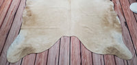 Beige Palomino White Belly Cowhide Rug 6.6ft x 5.4ft